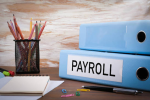 /what-is-payroll-management-nigeria