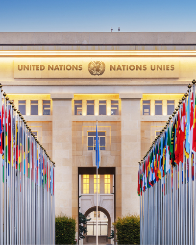 International Organization